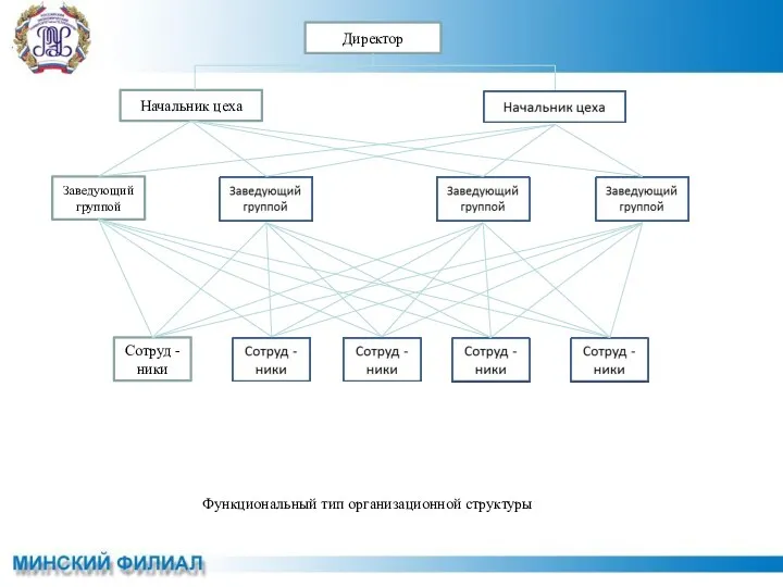 Директор Начальник цеха Заведующий группой Сотруд -ники Функциональный тип организационной структуры