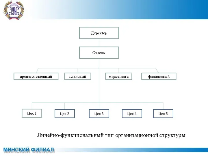 Директор Отделы производственный плановый маркетинга финансовый Цех 1 Линейно-функциональный тип организационной структуры