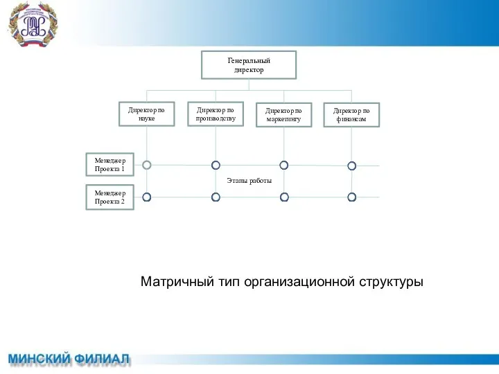 Матричный тип организационной структуры