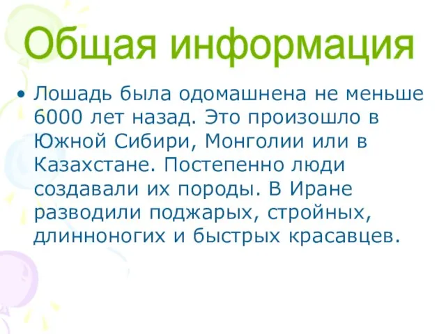 Лошадь была одомашнена не меньше 6000 лет назад. Это произошло