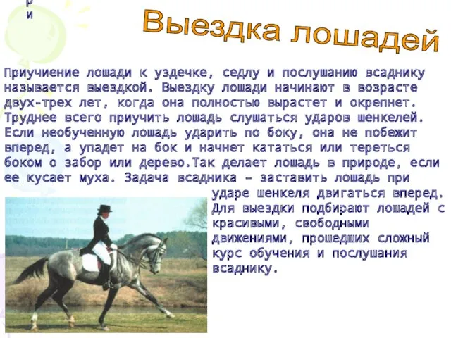 Приучиение лошади к уздечке, седлу и послушанию всаднику называется выездкой.