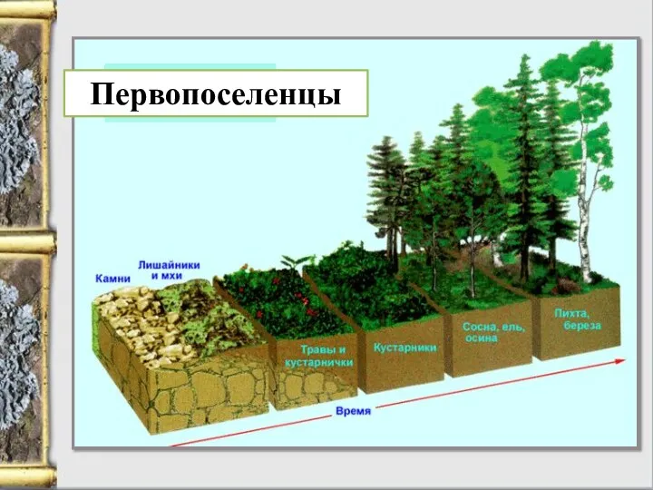 Первопоселенцы