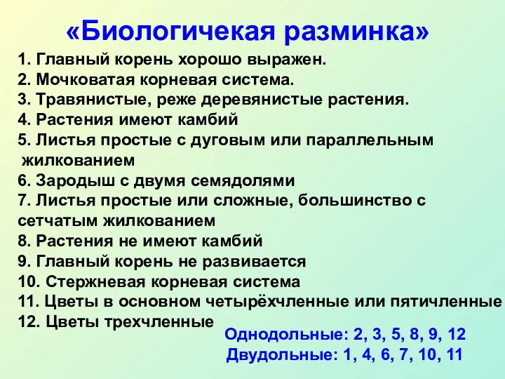 «Биологичекая разминка» 1. Главный корень хорошо выражен. 2. Мочковатая корневая