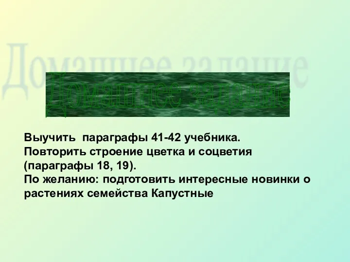 Домашнее задание Выучить параграфы 41-42 учебника. Повторить строение цветка и