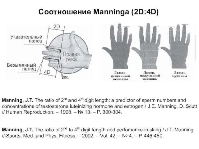 Соотношение Manninga (2D:4D) Manning, J.T. The ratio of 2nd to 4th digit tength