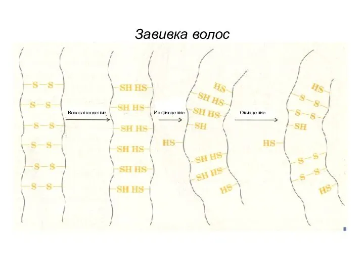 Восстановление Окисление Искривление Завивка волос