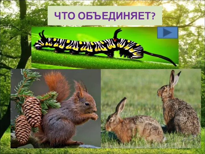 ЧТО ОБЪЕДИНЯЕТ?