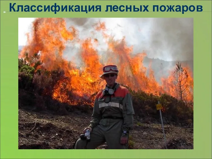 Классификация лесных пожаров