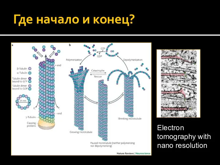 Где начало и конец? Electron tomography with nano resolution