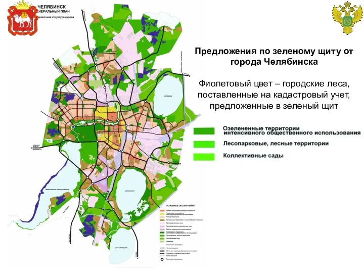 Предложения по зеленому щиту от города Челябинска Фиолетовый цвет –