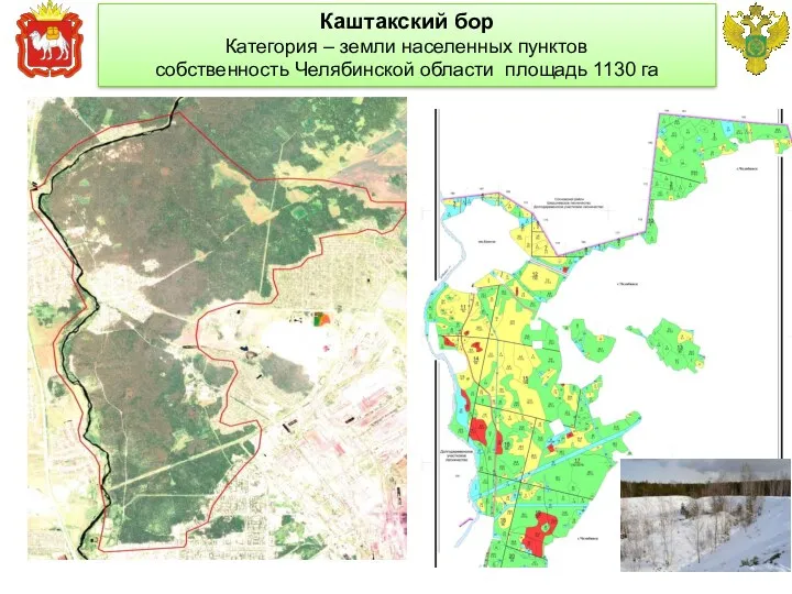 Правительство Челябинской области Главное управление лесами Челябинской области Каштакский бор