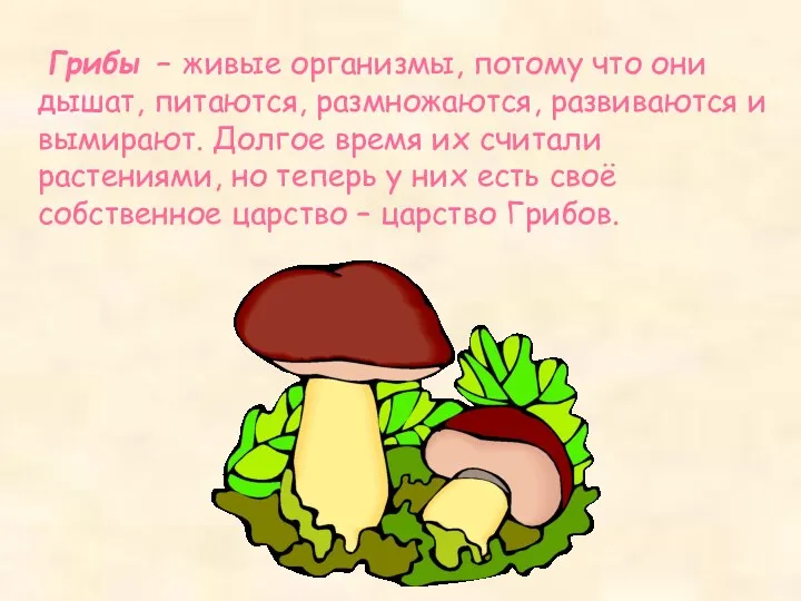 Грибы – живые организмы, потому что они дышат, питаются, размножаются, развиваются и вымирают.