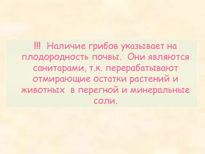 !!! Наличие грибов указывает на плодородность почвы. Они являются санитарами,