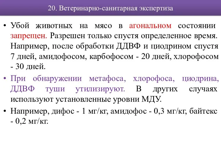 20. Ветеринарно-санитарная экспертиза Убой животных на мясо в агональном состоянии запрещен. Разрешен только