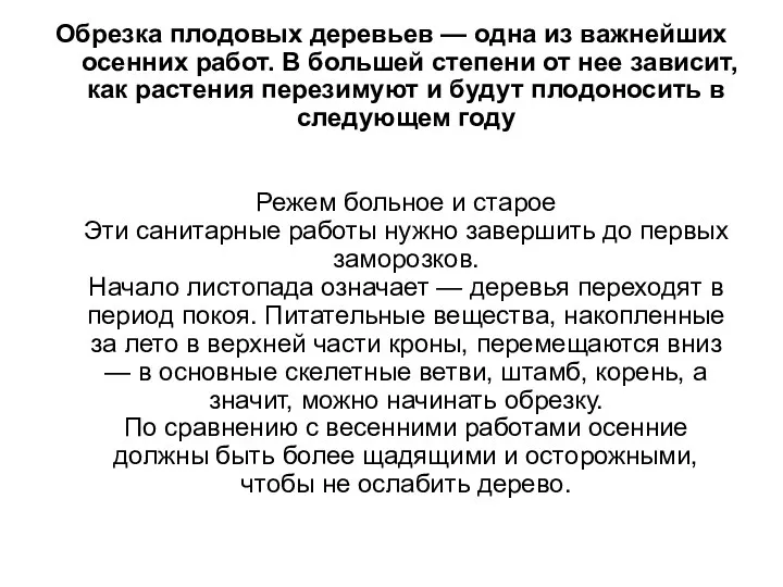 Обрезка плодовых деревьев — одна из важнейших осенних работ. В