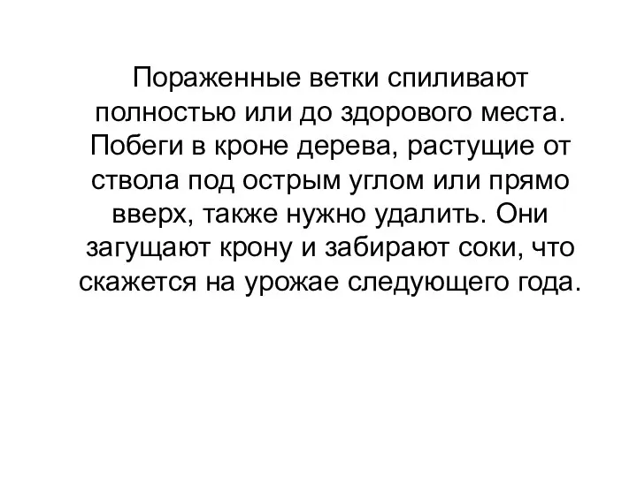 Пораженные ветки спиливают полностью или до здорового места. Побеги в