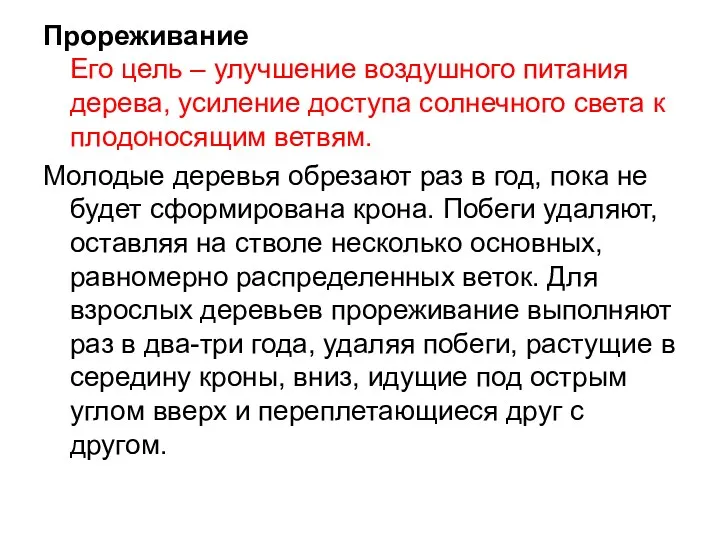 Прореживание Его цель – улучшение воздушного питания дерева, усиление доступа