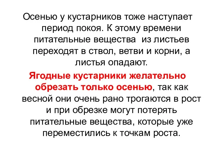 Осенью у кустарников тоже наступает период покоя. К этому времени