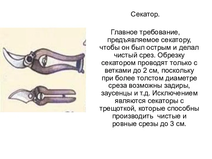 Секатор. Главное требование, предъявляемое секатору, чтобы он был острым и