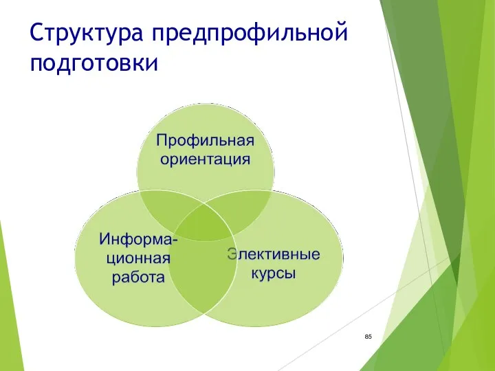 Структура предпрофильной подготовки