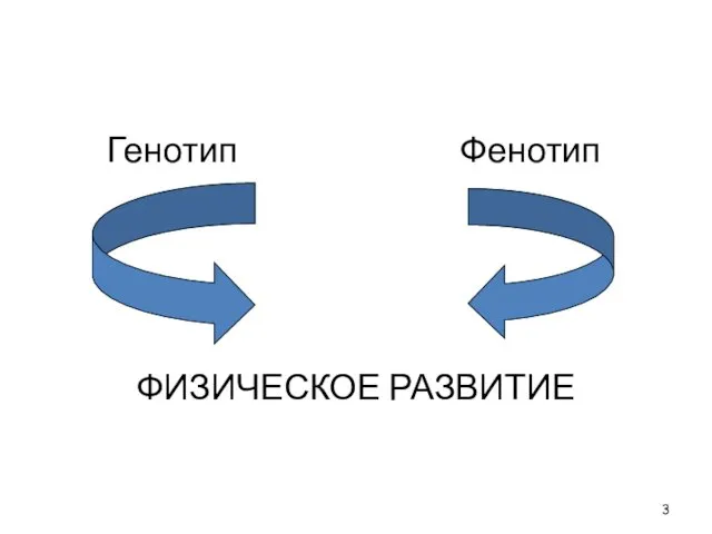 Генотип Фенотип ФИЗИЧЕСКОЕ РАЗВИТИЕ