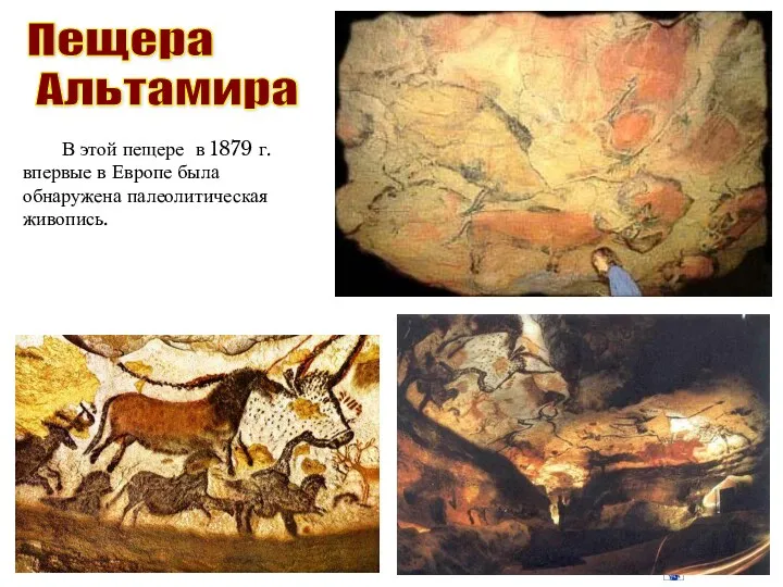 Пещера Альтамира В этой пещере в 1879 г. впервые в Европе была обнаружена палеолитическая живопись.