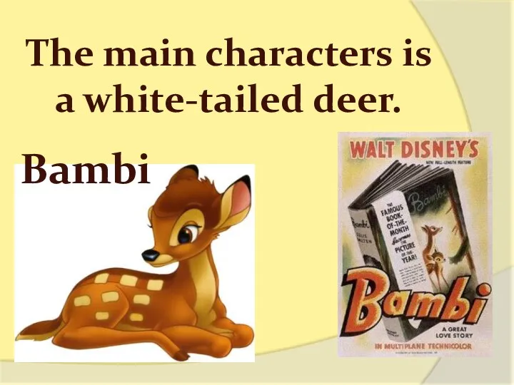 The main characters is a white-tailed deer. Bambi