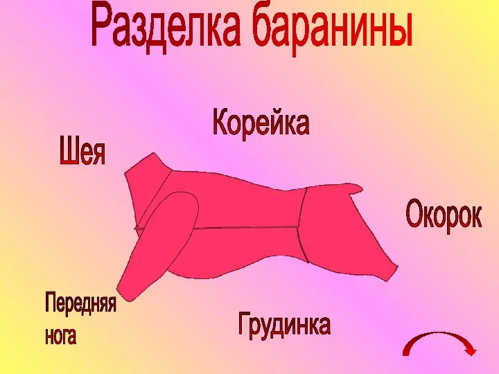 Разделка баранины Шея Корейка Окорок Грудинка Передняя нога