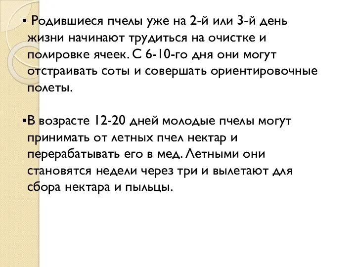 Родившиеся пчелы уже на 2-й или 3-й день жизни начинают