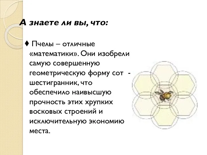 А знаете ли вы, что: Пчелы – отличные «математики». Они