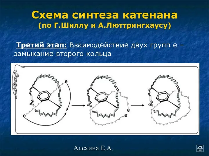 Алехина Е.А. Третий этап: Взаимодействие двух групп е – замыкание