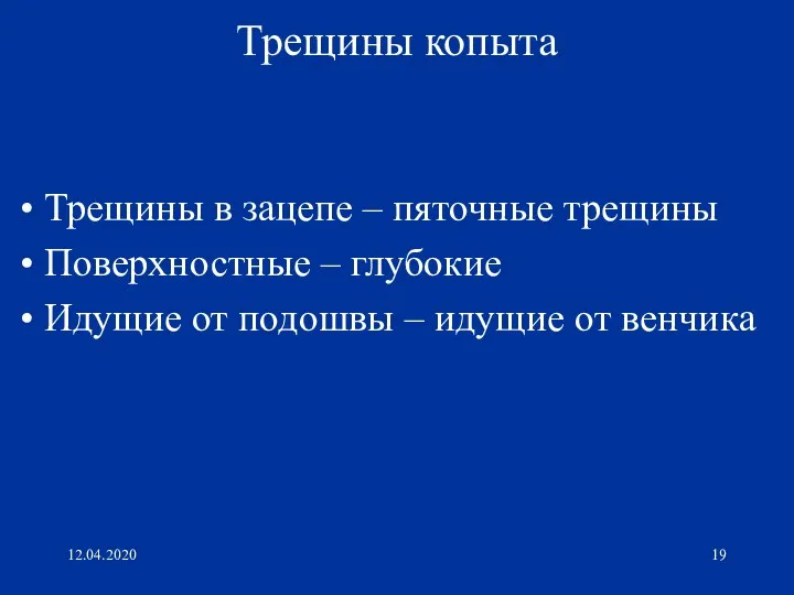 12.04.2020 Трещины копыта Трещины в зацепе – пяточные трещины Поверхностные