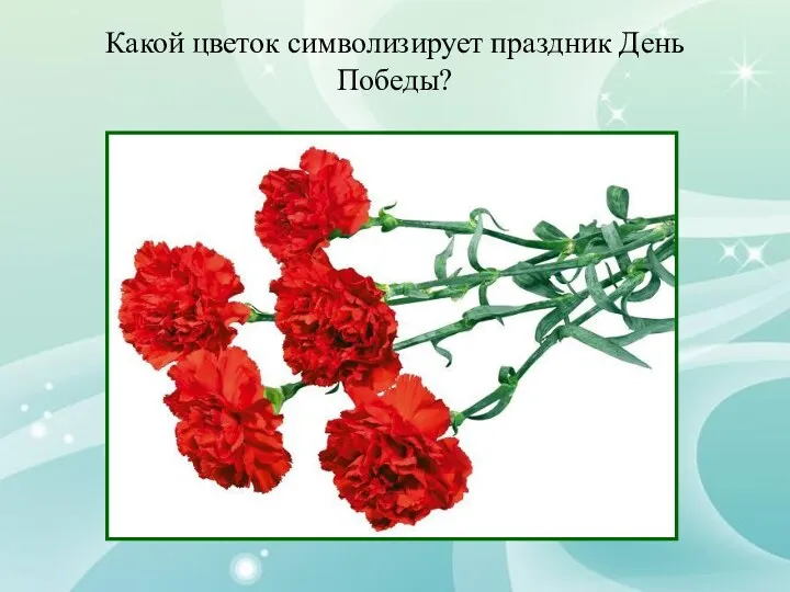 Какой цветок символизирует праздник День Победы?
