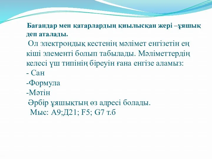 Бағандар мен қатарлардың қиылысқан жері –ұяшық деп аталады. Ол электрондық