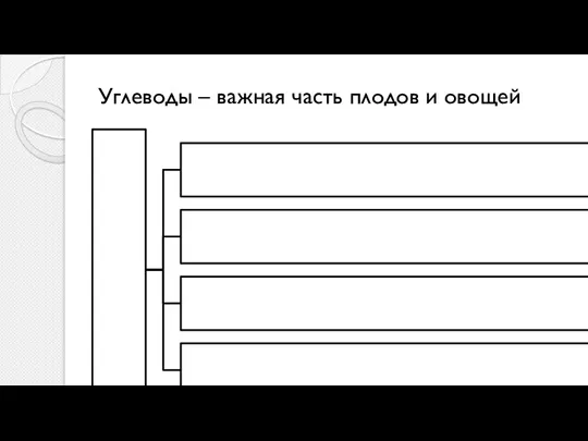 Углеводы – важная часть плодов и овощей