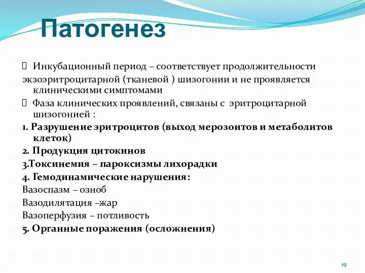 Патогенез Инкубационный период – соответствует продолжительности экзоэритроцитарной (тканевой ) шизогонии