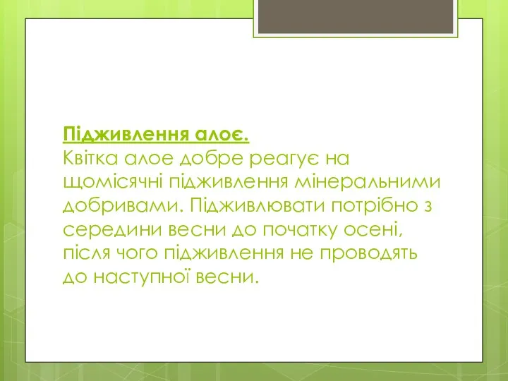 Підживлення алоє. Квітка алое добре реагує на щомісячні підживлення мінеральними