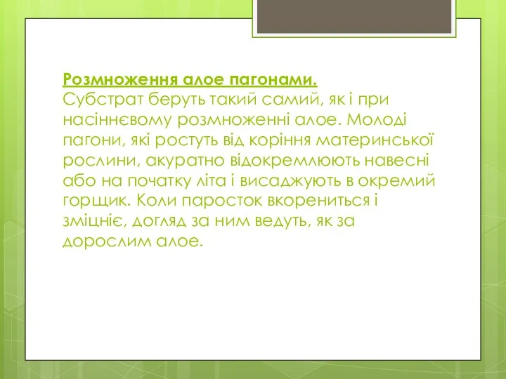 Розмноження алое пагонами. Субстрат беруть такий самий, як і при