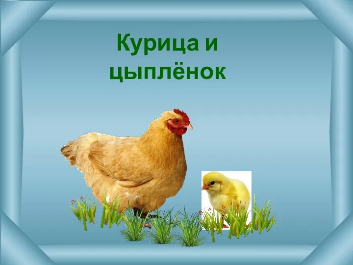 Курица и цыплёнок
