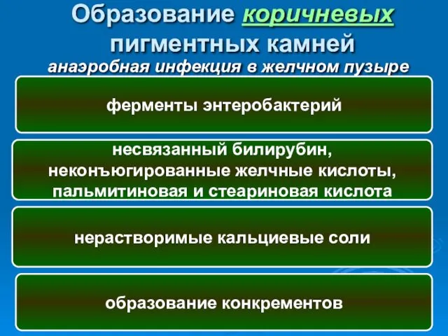 Образование коричневых пигментных камней анаэробная инфекция в желчном пузыре ферменты