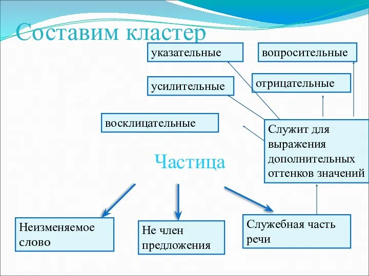 Составим кластер Частица Не член предложения Неизменяемое слово Служебная часть речи Служит для