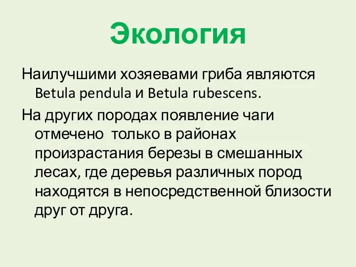 Экология Наилучшими хозяевами гриба являются Betula pendula и Betula rubescens. На других породах