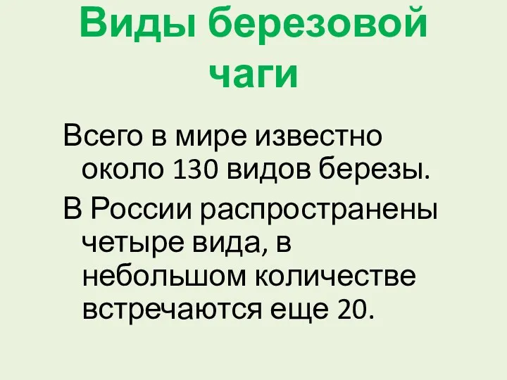 Виды березовой чаги Всего в мире известно около 130 видов