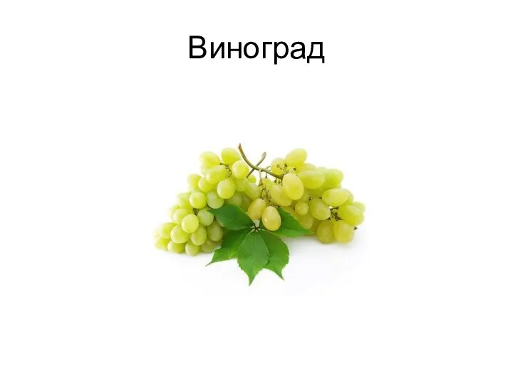 Виноград