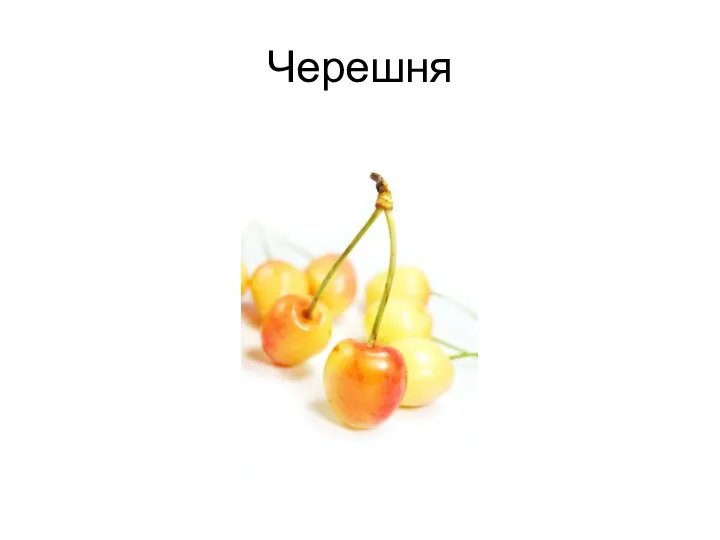 Черешня