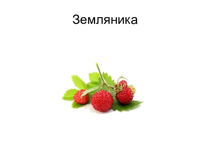 Земляника