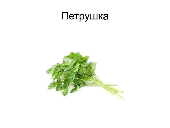 Петрушка