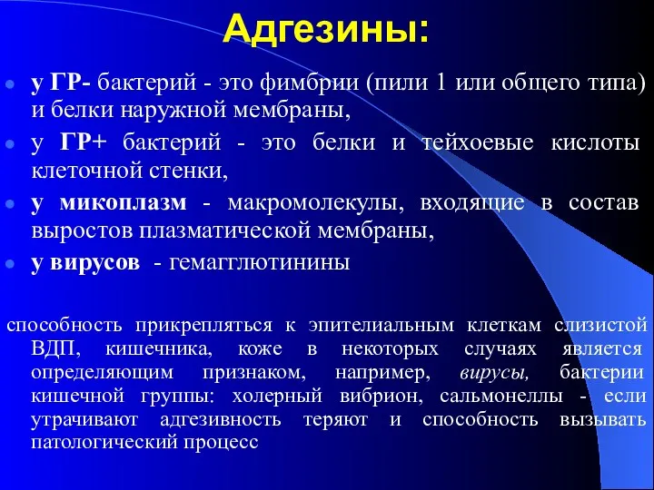 Адгезины: у ГР- бактерий - это фимбрии (пили 1 или общего типа) и