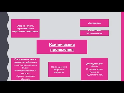 Клинические проявления Острое начало, стремительное нарастание симптомов Лихорадка Поражение кожи