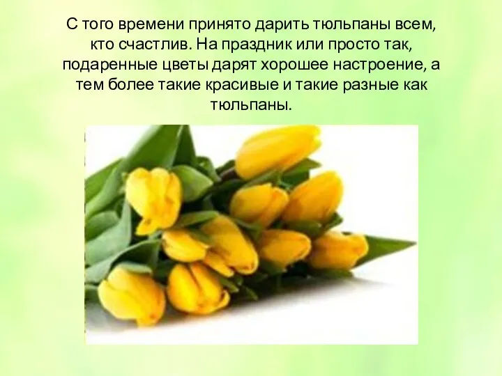С того времени принято дарить тюльпаны всем, кто счастлив. На